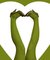 Strumpbyxor Parrot Green