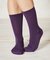 Solid Jackie Plain Bamboo Socks Purple